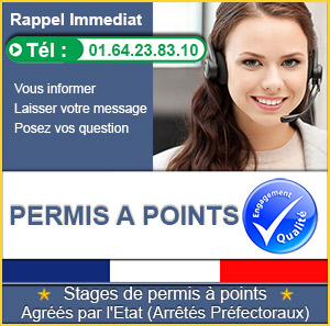 permis à points